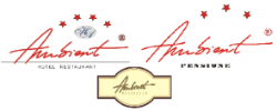 Ambient Hotels